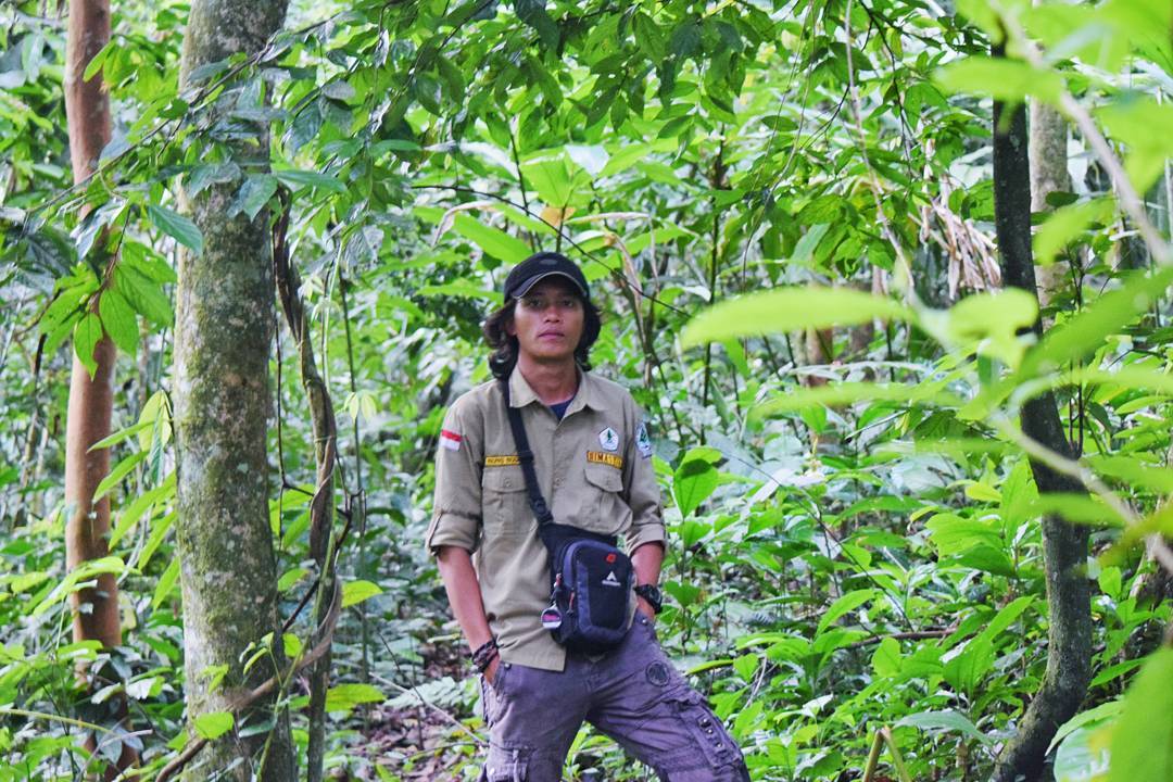 Taman Nasional Bukit Barisan Selatan 8 Taman Nasional Bukit Barisan Selatan 8