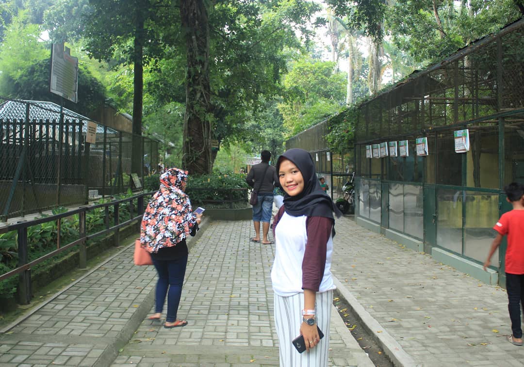 Jalan Jalan Ke Medan Zoo 5 Jalan Jalan Ke Medan Zoo 5