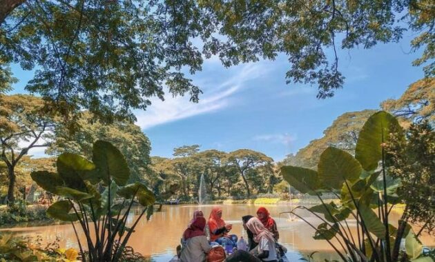 Kebun Bibit Wonorejo Surabaya 10