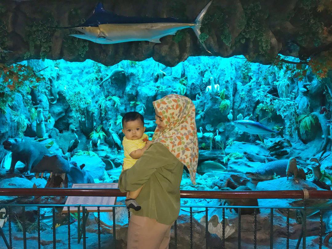 Rahmat International Wildlife Museum and Gallery 9