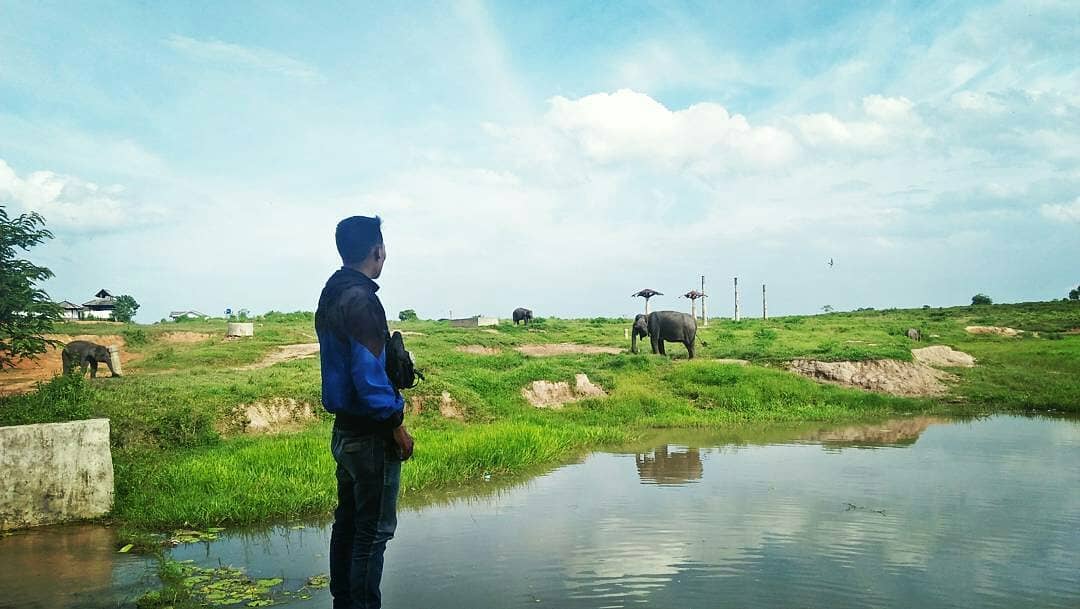 Taman Nasional Way Kambas di Lampung 8 Taman Nasional Way Kambas di Lampung 8