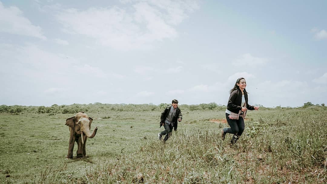 Taman Nasional Way Kambas di Lampung 9 Taman Nasional Way Kambas di Lampung 9