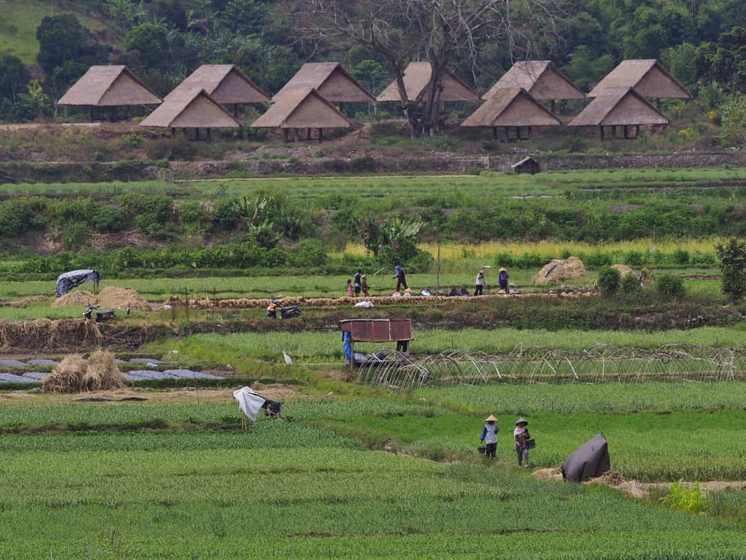 Desa Sembalun Lombok 2