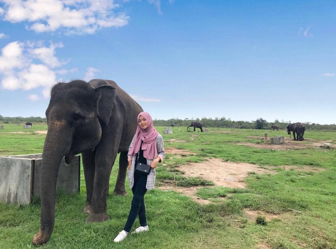 Taman Nasional Way Kambas di Lampung 10 Taman Nasional Way Kambas di Lampung 10