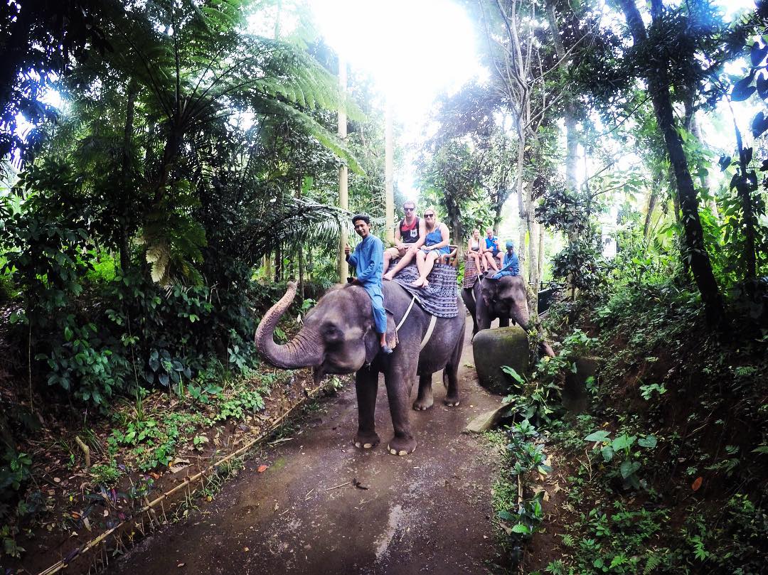 Elephant Safari Park Bali 6