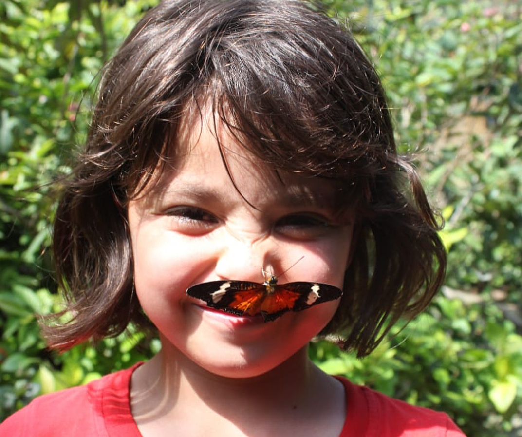 Butterfly Park Bali Atau Taman Kupu Kupu di Tabanan 4