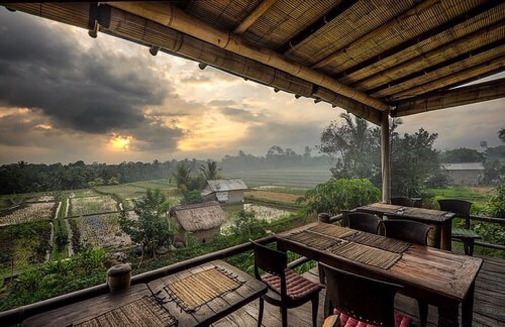 Sari Organik Ubud Bali 9 Sari Organik Ubud Bali 9