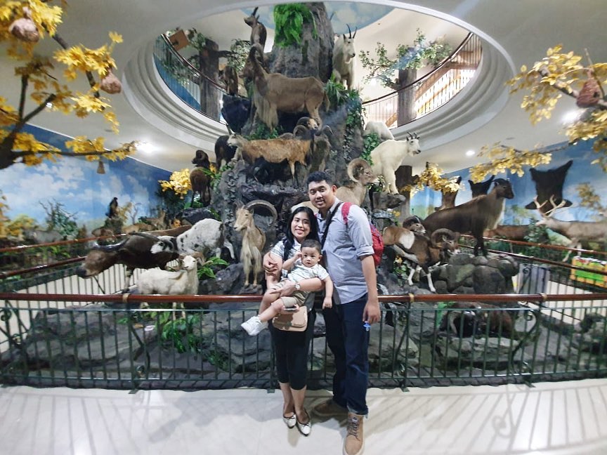 Rahmat International Wildlife Museum and Gallery 5