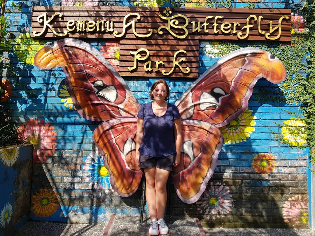 Butterfly Park Bali Atau Taman Kupu Kupu di Tabanan 1