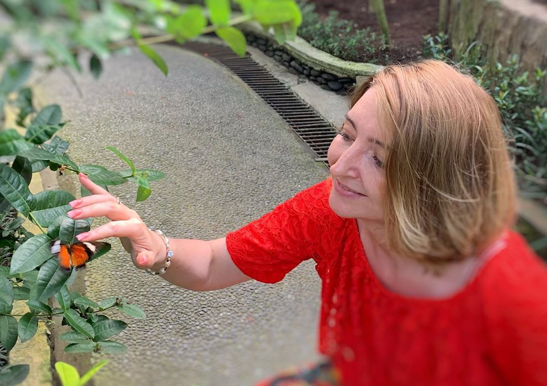 Butterfly Park Bali Atau Taman Kupu Kupu di Tabanan 3