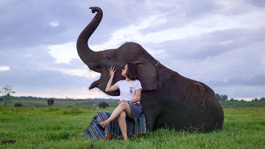 Taman Nasional Way Kambas di Lampung 7 Taman Nasional Way Kambas di Lampung 7