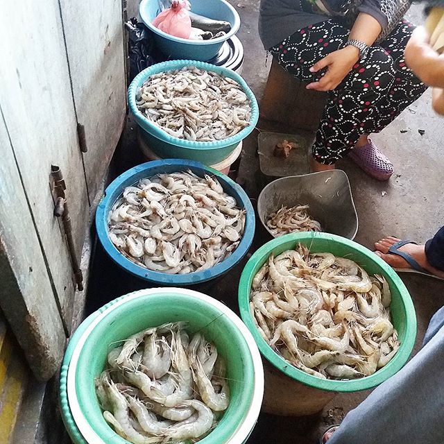 Pasar Pucang Buka Jam Berapa? 1