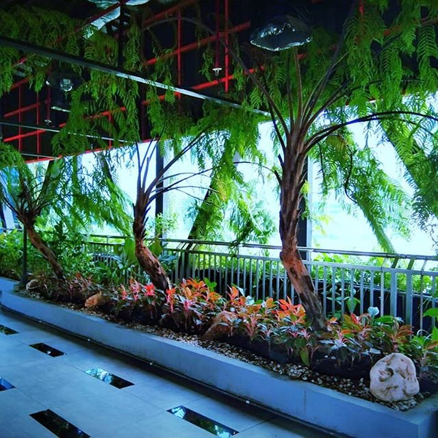 Jembatan Penyeberangan Taman Gantung 2