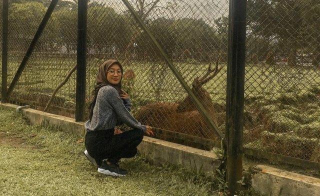 16 - 23 Taman Wisata Bunga Romantis Medan, Rekreasi Bermain Anak Yang Ada di Kota: Cadika, Lumbini, Buaya 1