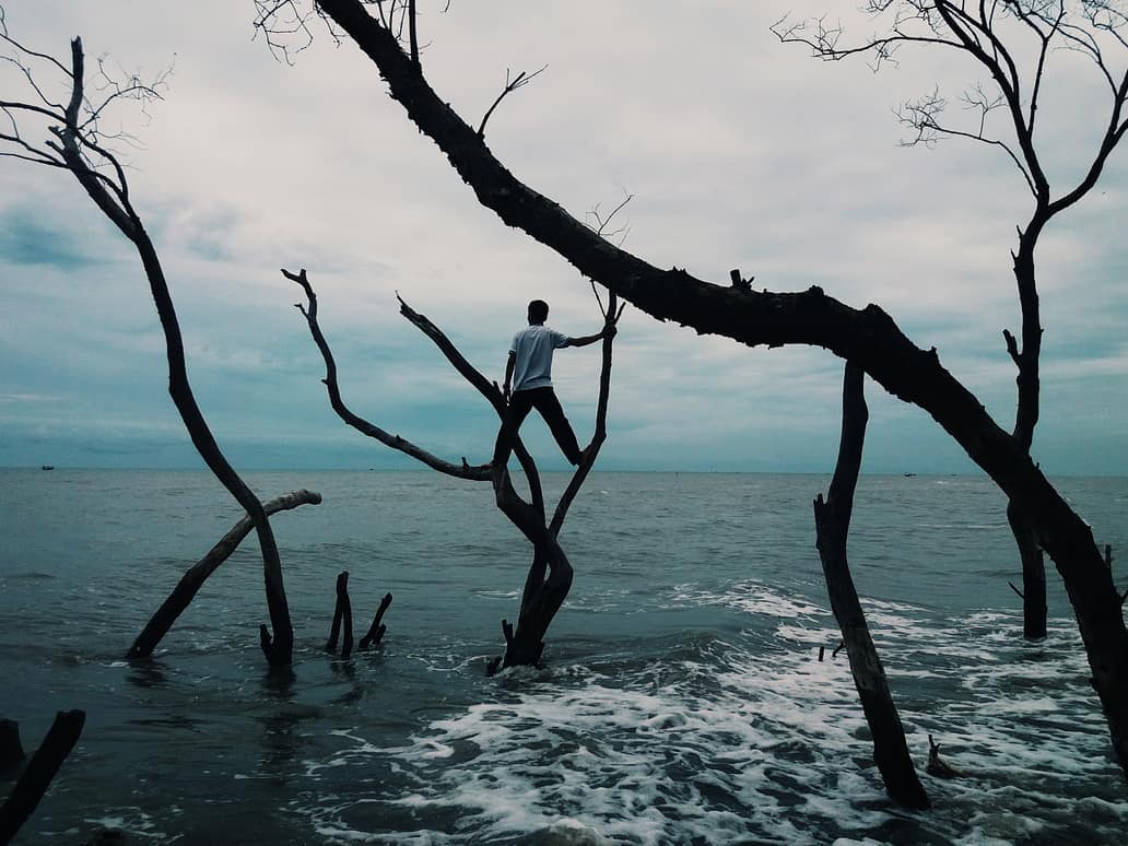 Bagaimana Transportasi Jalan Menuju Ke Pantai Muara Beting Bekasi dan Berapa Harga Tiketnya? 6 Bagaimana Transportasi Jalan Menuju Ke Pantai Muara Beting Bekasi dan Berapa Harga Tiketnya? 6