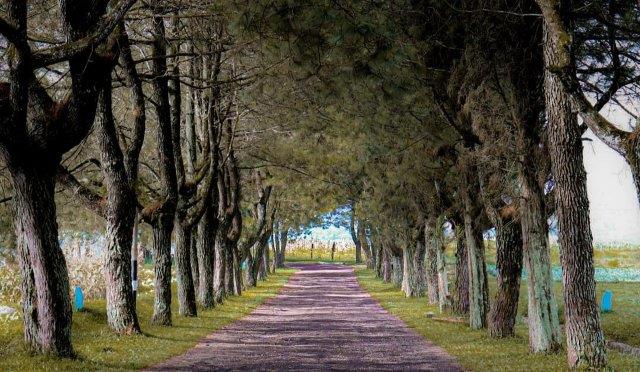 60 Wisata Lembang Maribaya Terbaru 2025 Murah Meriah: Dusun Bambu dan Bandung Ala Eropa 1