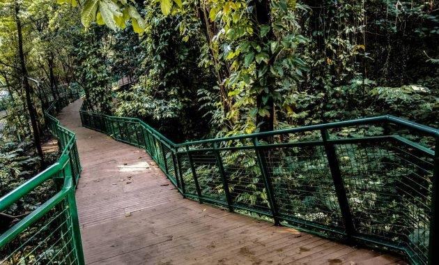 10 Hutan Kota di Indonesia 5