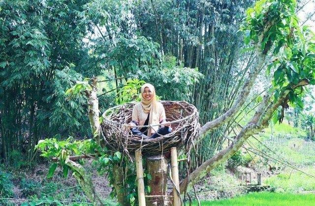 Lembah Hijau Rumbia Jeneponto Sulawesi Selatan 6