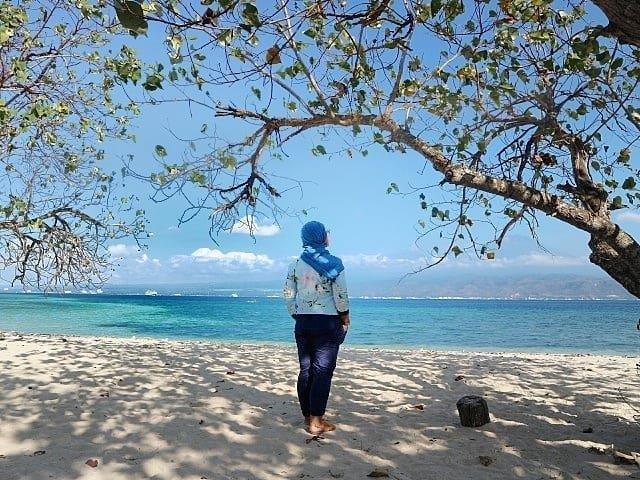 Apa Potensi Taman Nasional Bali Barat? 7 Apa Potensi Taman Nasional Bali Barat? 7