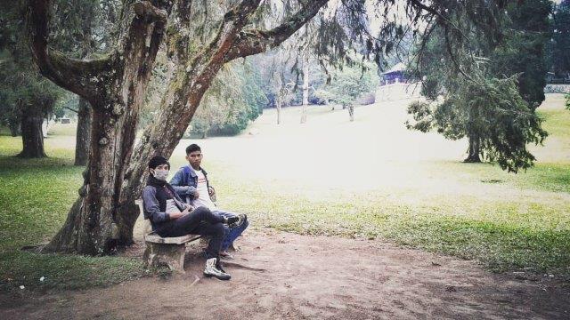 Wisata Kebun Raya Bedugul Bali 7