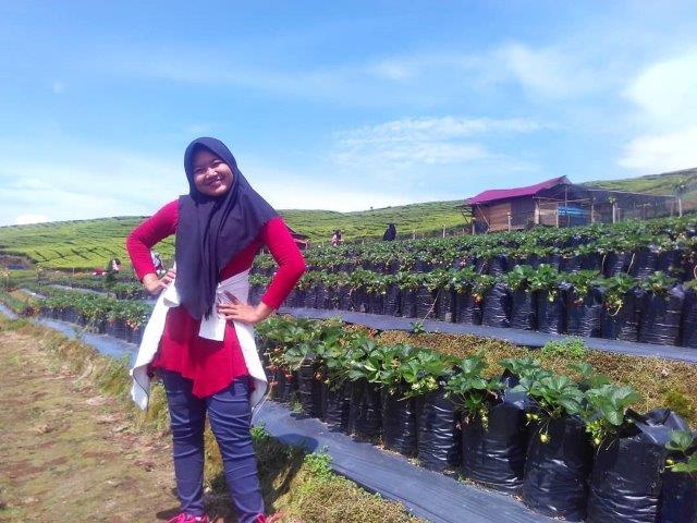 Taman Strawberry Kadudampit 8 Taman Strawberry Kadudampit 8