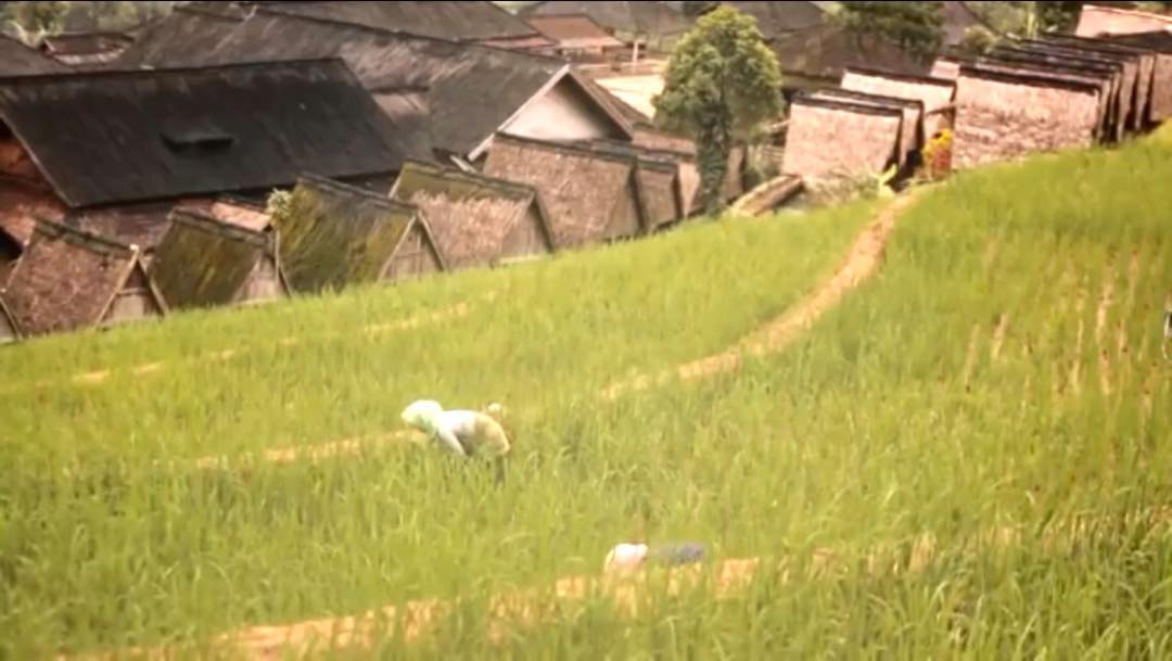 Keistimewaan Kampung Adat Ciptagelar 8