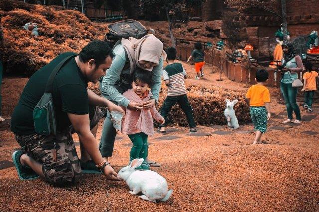 Rumah Hobbit Malang Buka Jam Berapa? 8