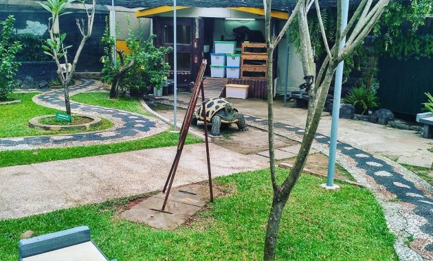 Museum Komodo dan Taman Reptil 9