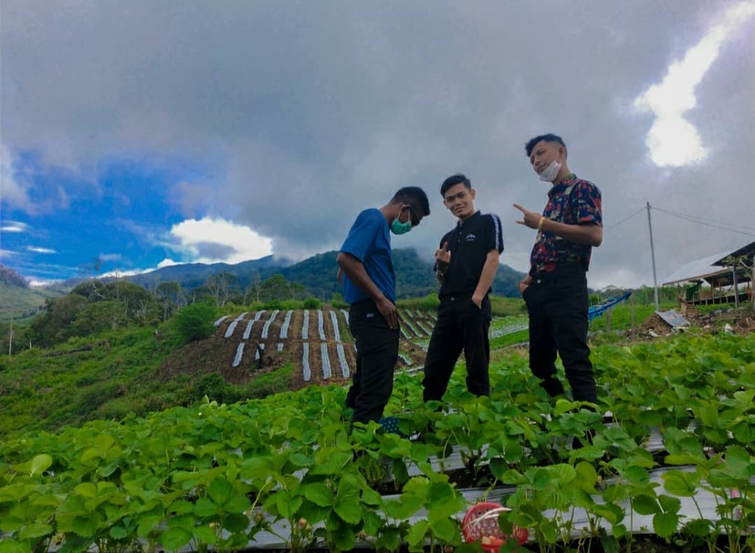 Taman Strawberry Kadudampit 7 Taman Strawberry Kadudampit 7