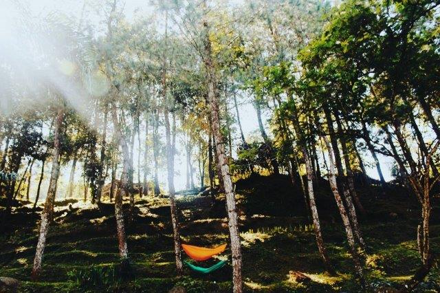 Wisata Curug Panjang Megamendung Bogor 6