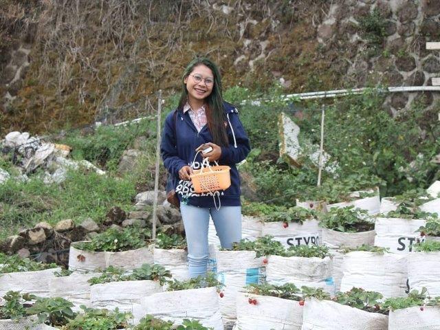 Taman Strawberry Kadudampit 2 Taman Strawberry Kadudampit 2