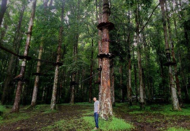 Wisata Kebun Raya Bedugul Bali 9