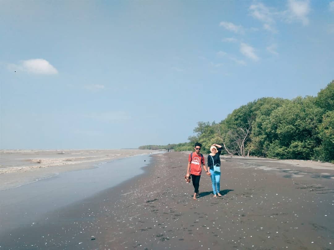 Bagaimana Transportasi Jalan Menuju Ke Pantai Muara Beting Bekasi dan Berapa Harga Tiketnya? 5 Bagaimana Transportasi Jalan Menuju Ke Pantai Muara Beting Bekasi dan Berapa Harga Tiketnya? 5