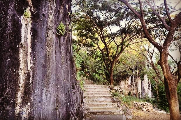 Petilasan Sunan Kalijaga di Cirebon 5