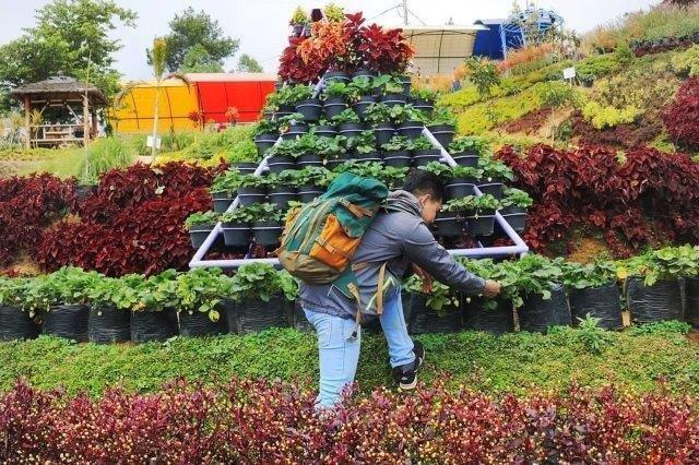 Taman Strawberry Kadudampit 3 Taman Strawberry Kadudampit 3