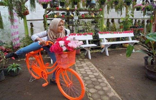 Green House Lezatta 1 Green House Lezatta 1