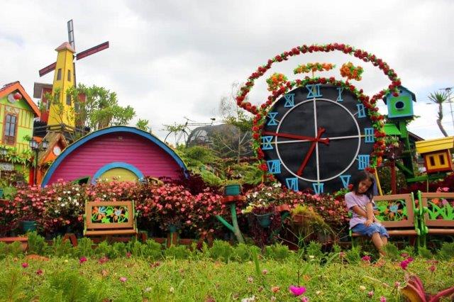 Green House Lezatta 4 Green House Lezatta 4