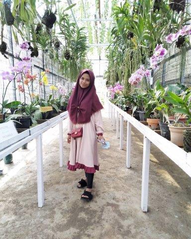 Green House Lezatta 7 Green House Lezatta 7