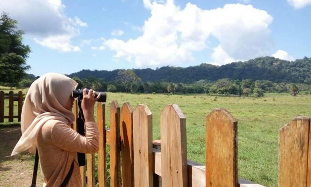 Taman Nasional Alas Purwo 3 Taman Nasional Alas Purwo 2