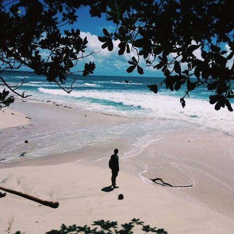 Taman Nasional Alas Purwo 6