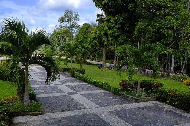 10 Hutan Kota di Indonesia 9