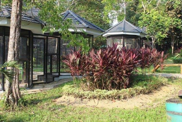 10 Hutan Kota di Indonesia 3