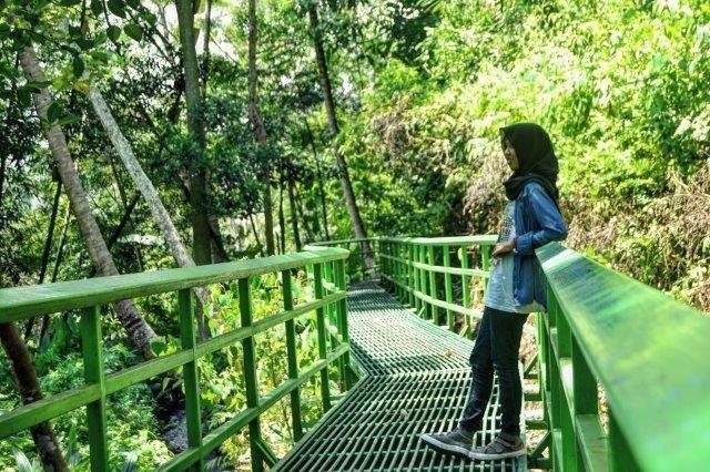 10 Hutan Kota di Indonesia 8