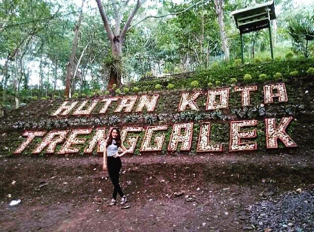 10 Hutan Kota di Indonesia 1