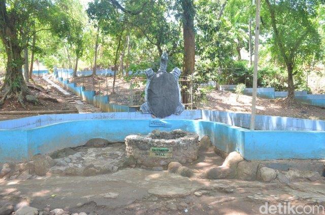 Wisata Kura Kura Belawa Cirebon 9