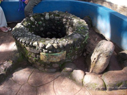 Wisata Kura Kura Belawa Cirebon 8