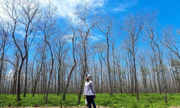 Alas Purwo Banyuwangi 1