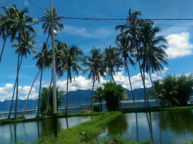 Wisata Danau Maninjau 8 Wisata Danau Maninjau 8