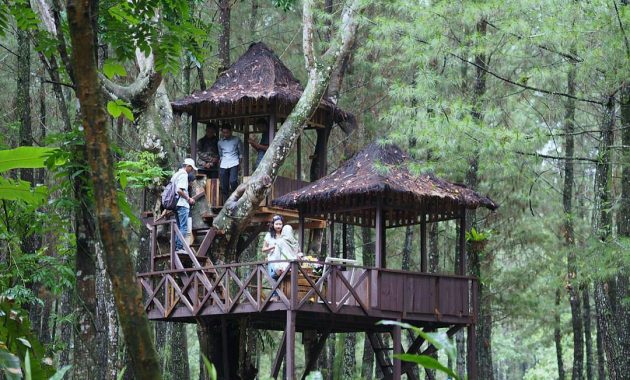 15 Tempat Camping dan Glamping di Cianjur untuk Keluarga: Rekomendasi Terbaik 2026 3