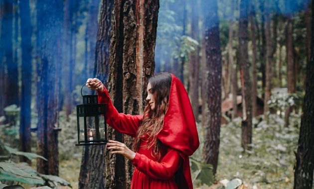 Hutan Pinus Songgon 7